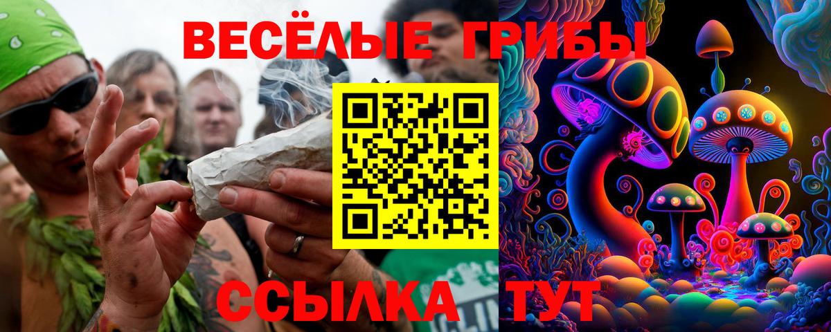 Галлюциногенные грибы Cubensis  что такое   Псилоцибиновые грибы Magic Shrooms  Копейск  Вход с VPN 